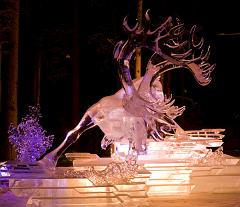 Ice Alaska 09 Hasselblad -0003488-2